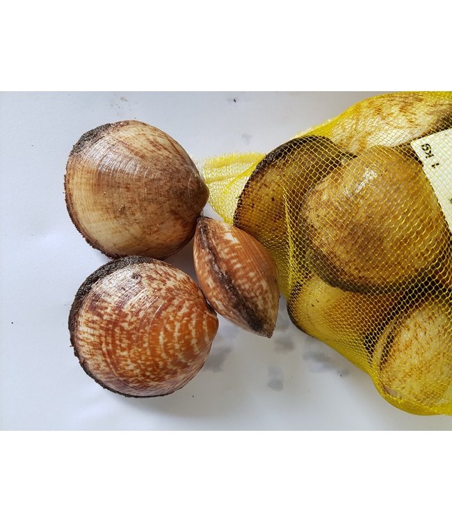 Amandes in netje (1 kg.)