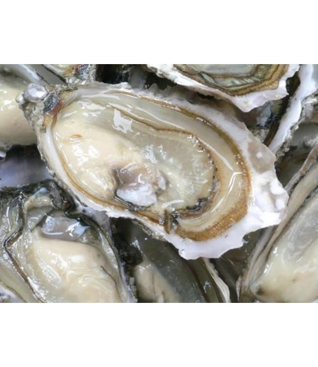 Franse oesters