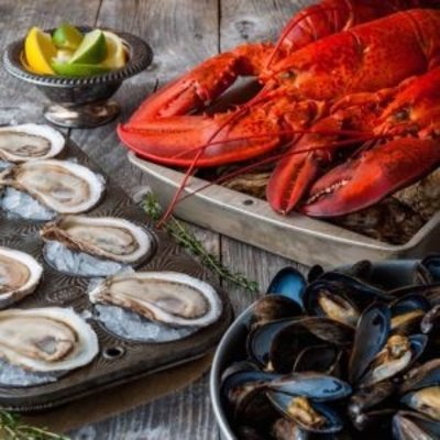 Schaal en Schelpdieren 