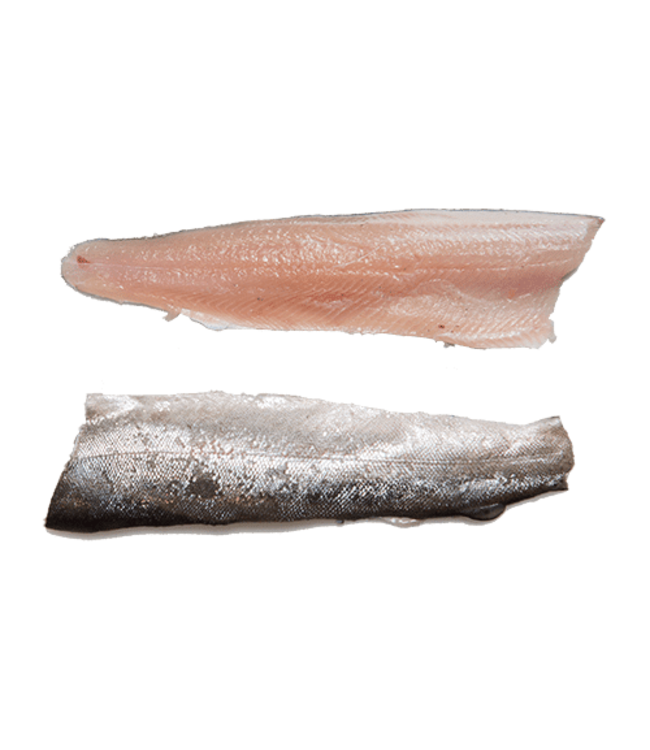 Forel filet met huid