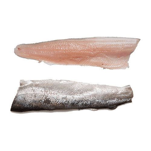 Forel filet - Urker Vishandel Hakvoort