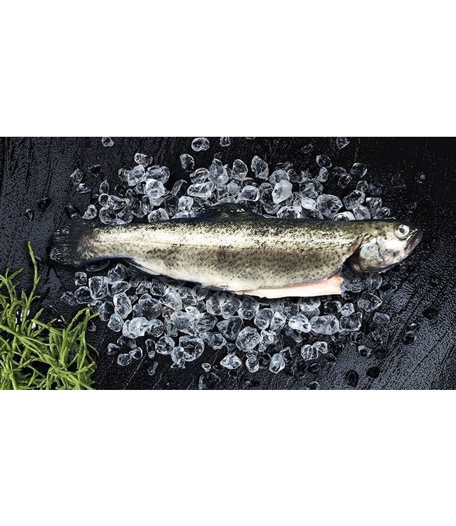 Forel filet met huid