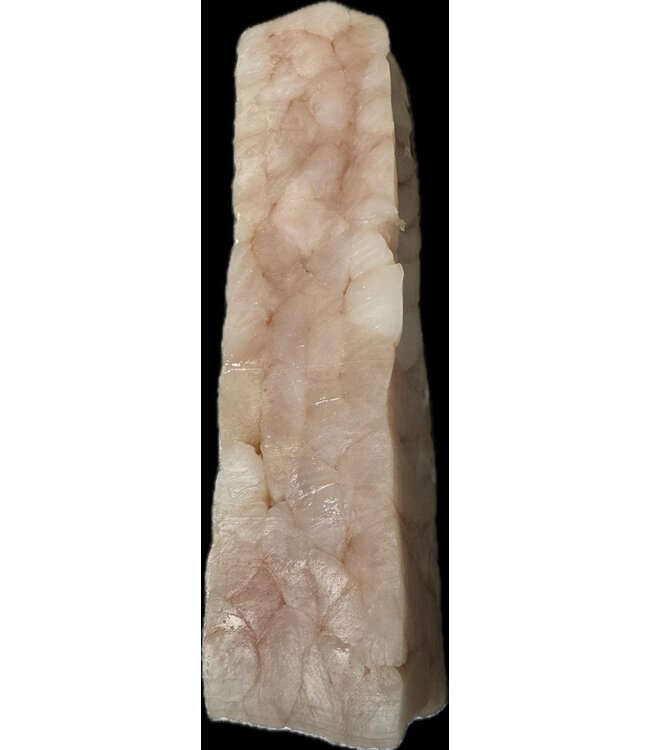 Roerbak vis  kant en klaar