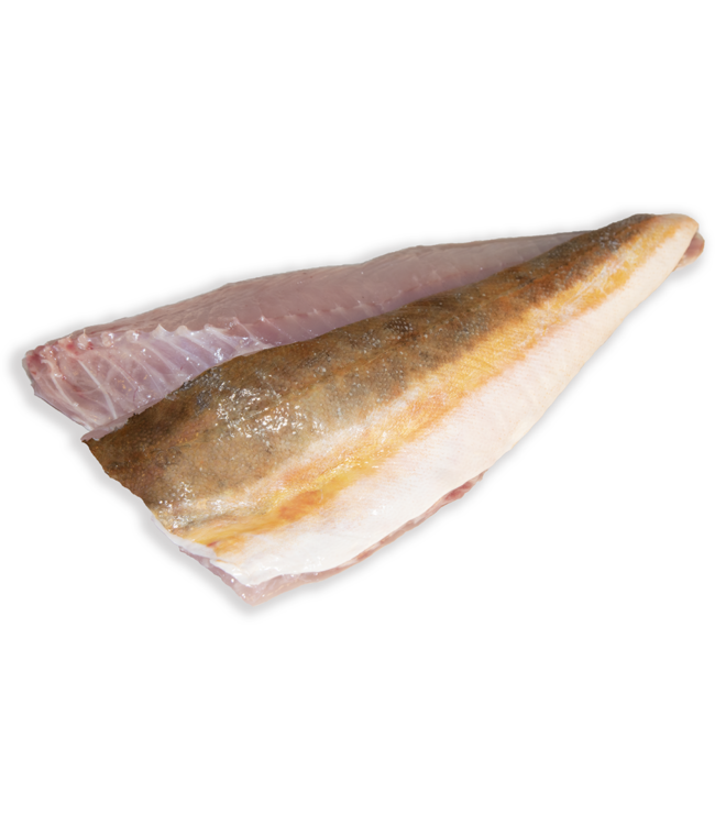 Rode poon filet  (Wild vangst)