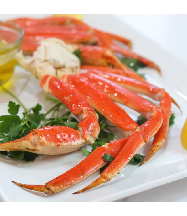 Sneeuw krab poten ( Alaska  Snow crab )
