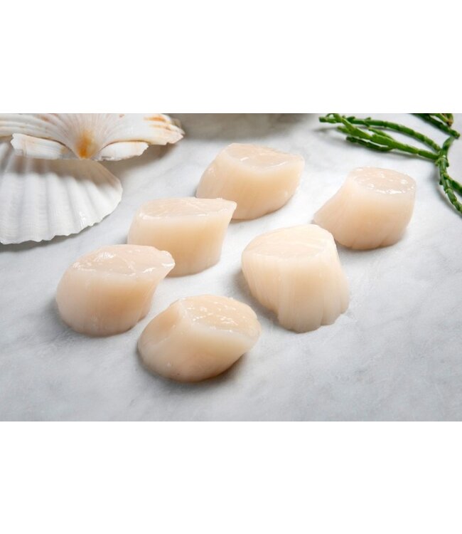 Coquilles vlees in zak (Sint Jacobsschelp)  1 kg verpakking-