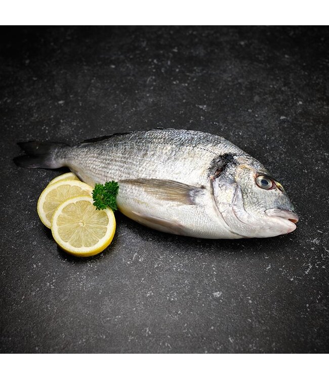 Dorade  Kant en Klaar +/-500 gram