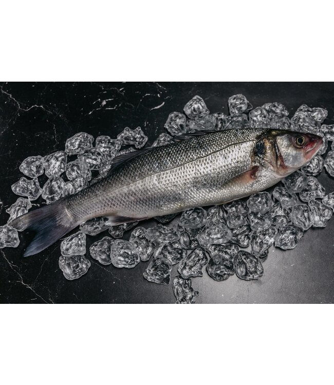 Hele zeebaars  +/- 500 gram