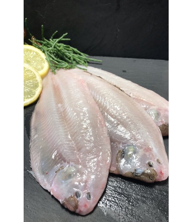 Tong middel  1 - 1,1 kg