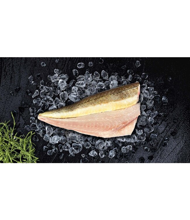 Rode poon filet  (Wild vangst)