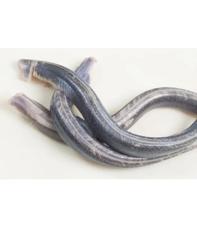 IJsselmeer Bak paling  (Schoongemaakt en gevild KANT EN KLAAR)