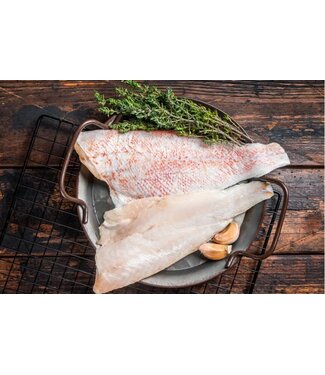 Grouper filet