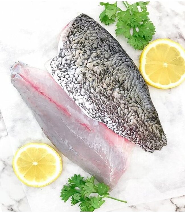 Barramundi filet