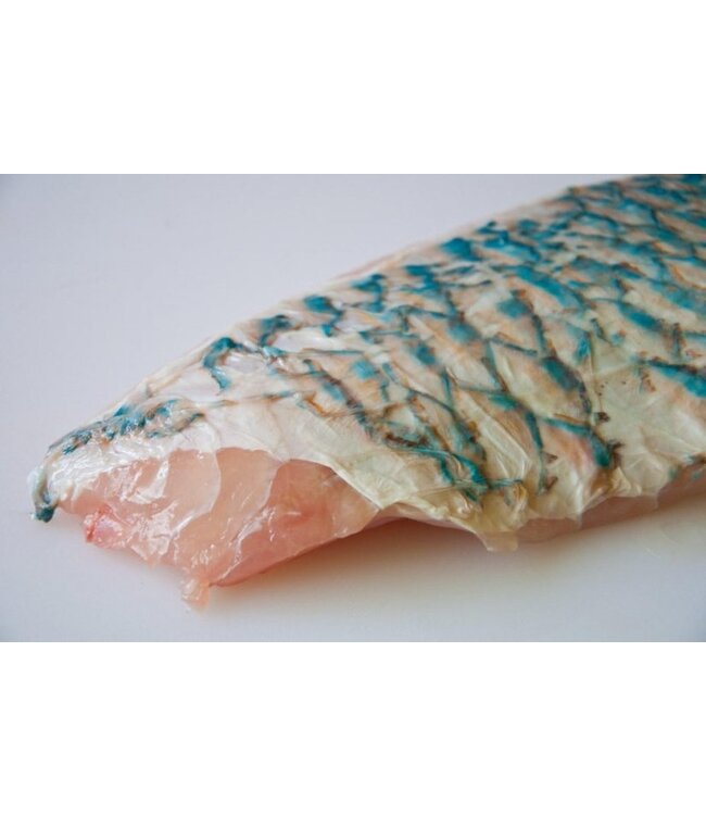 Parrot Vis ( papegaaivis)