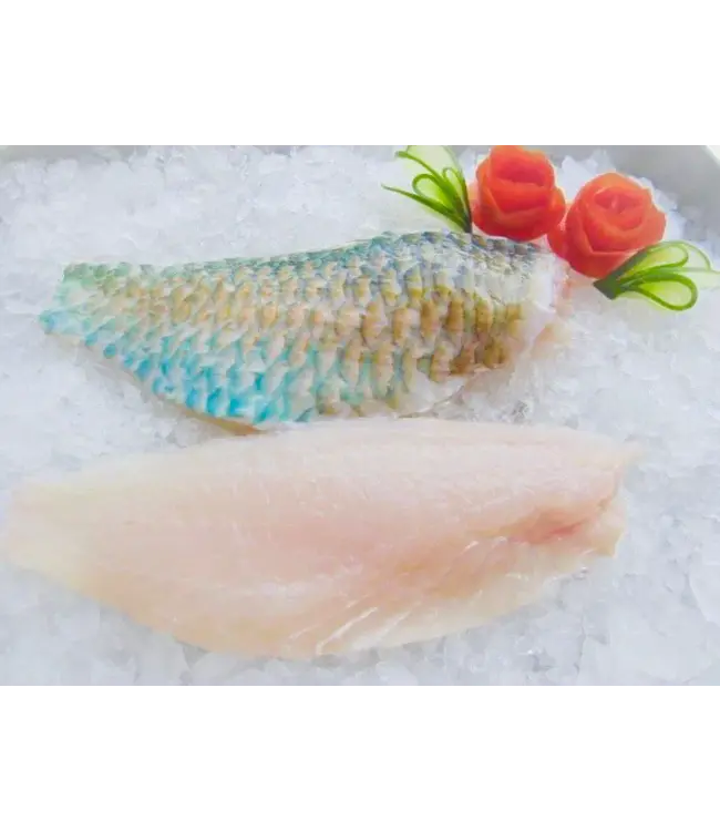 Parrot Vis ( papegaaivis)