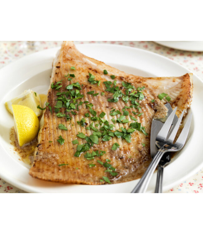 Rogvleugel filet  zonder huid