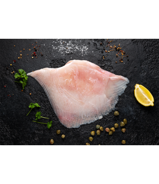Rogvleugel filet  zonder huid