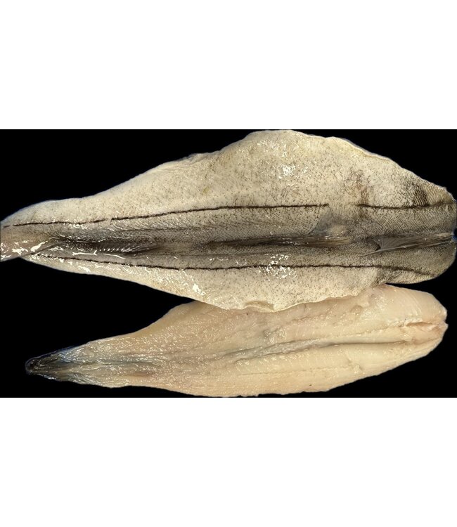 Schelvis filet met huid