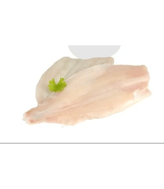 Scholfilet - klein