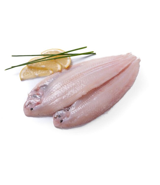 Sliptong zonder huid