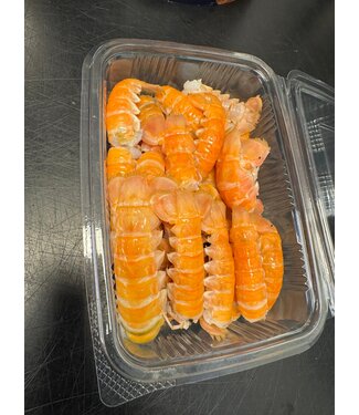 Noordzee Langoustines staartjes
