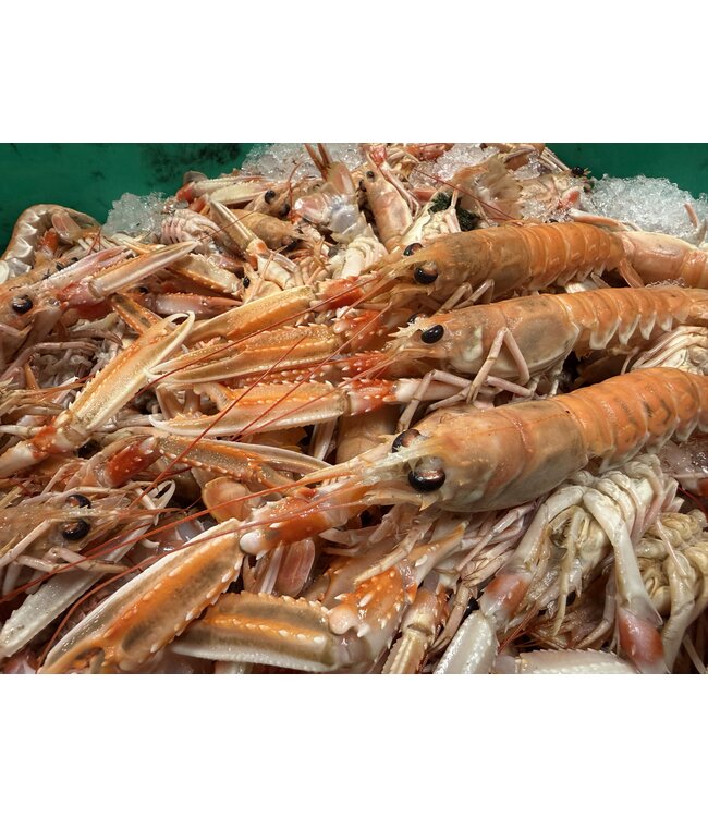 Noordzee Langoustines Premium