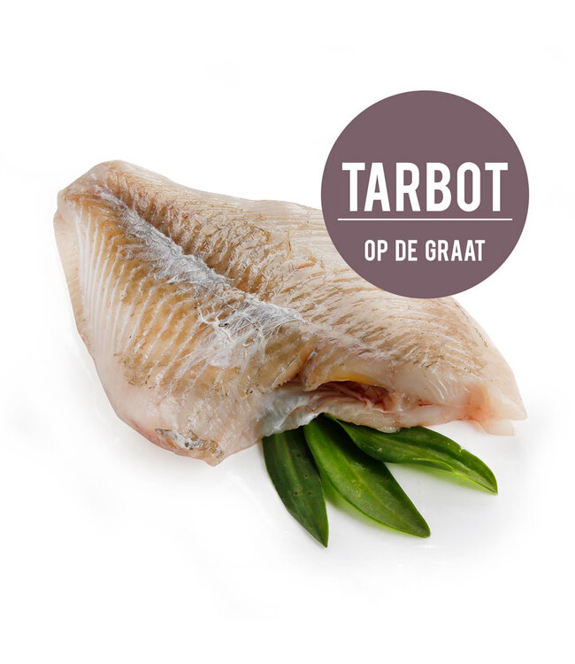 Tarbot groot zonder kop