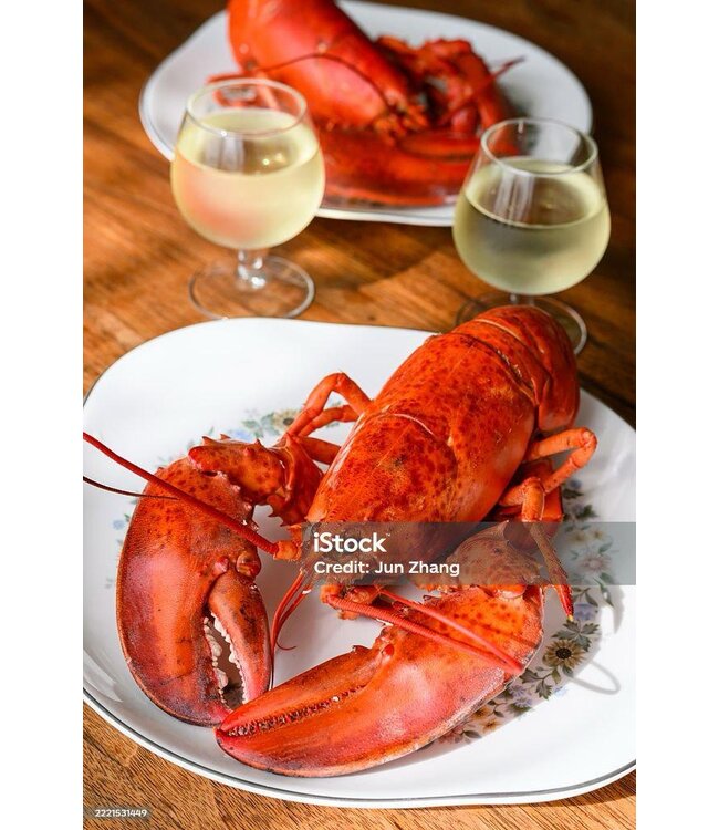 Canadese kreeft  450-500 gram