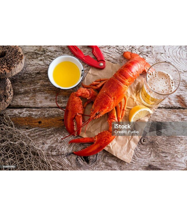 Canadese kreeft  450-500 gram