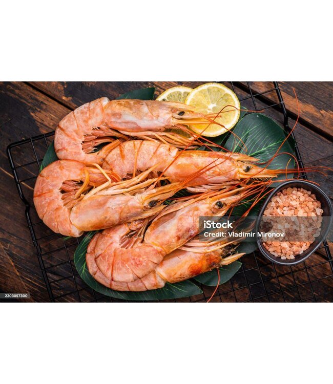 Wilde Argentijnse garnalen