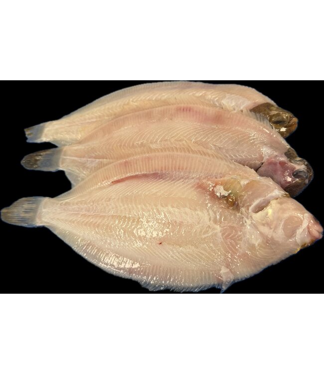 Tongschar zonder huid