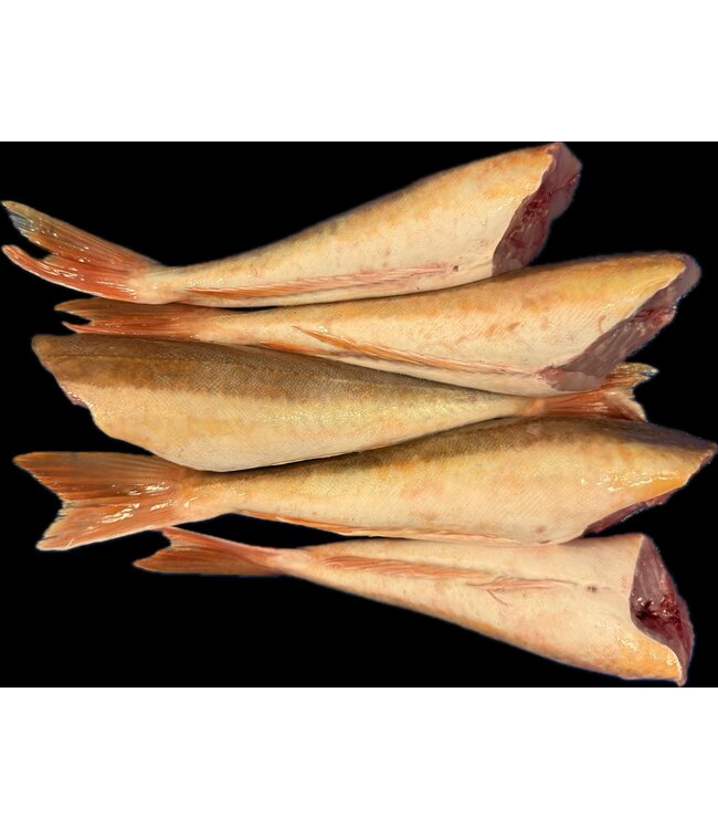 Verse  hele Rode poon  Panklaar Zonder kop