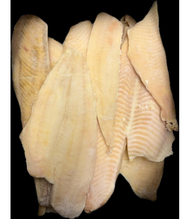 Scholfilet Voorjaars Aanbieding