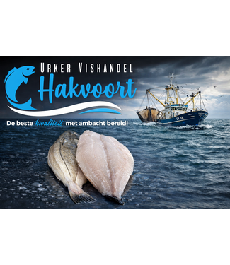 Schelvis filet met huid