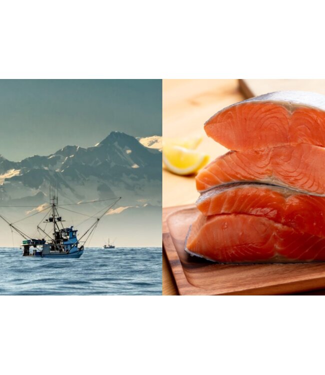 Doos grote  Wilde Sockeye  zalmfilet met huid (MSC)  Groothandel   Nieuwe Verse productie!