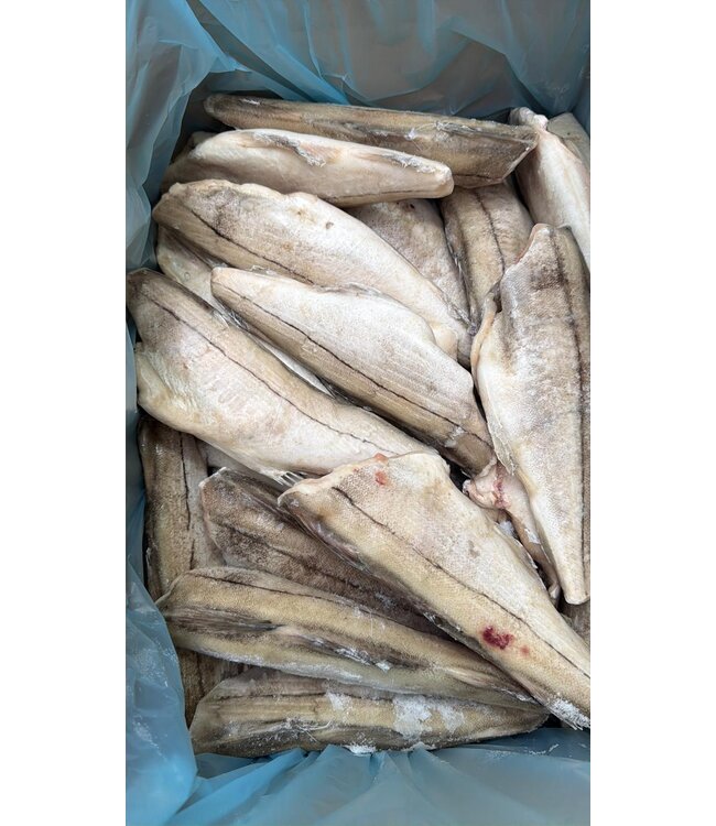 Schelvis panklaar 5 kg doos