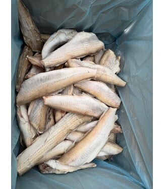 Wijting Panklaar  5 kg doos