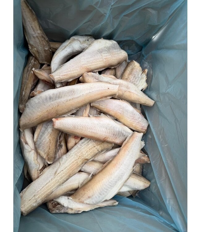 Wijting Panklaar 5 kg doos