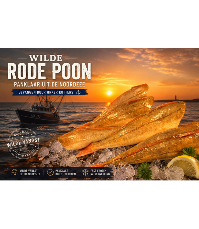 Rode poon  Panklaar Zonder kop