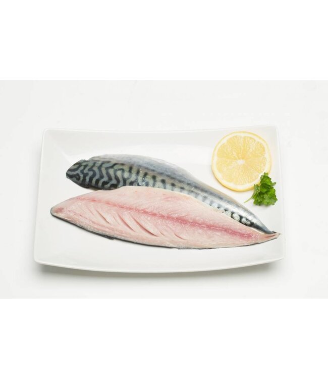Makreel filet met huid 250 gram  per pakje vacuüm