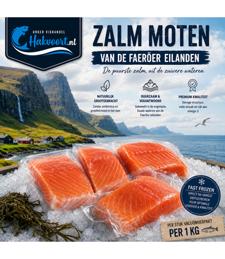 Zalmfilet moten 1 kg