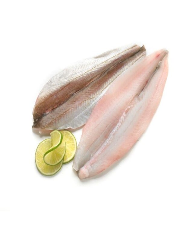 Wijting filet 5 kg doos