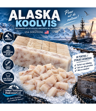 Alaskakoolvis - Witvis   XL   (wild gevangen)