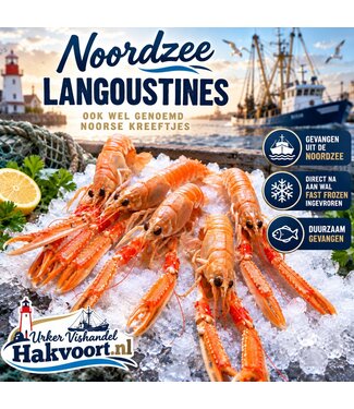 Noordzee Langoustines