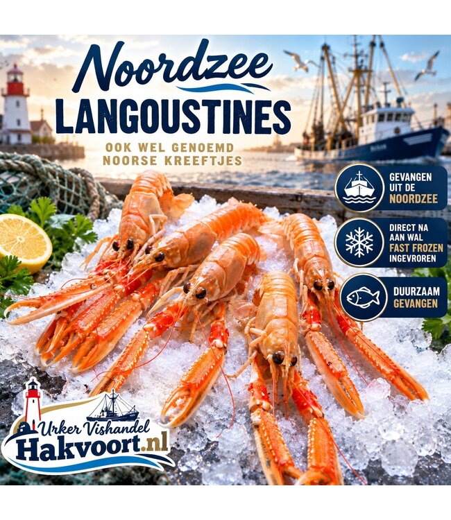 Noordzee Langoustines Premium