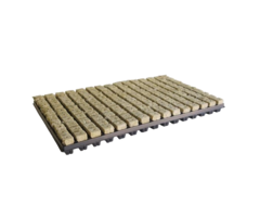 Grodan Grodan Rockwool tray