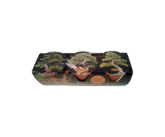 Dutch Pro Dutch Pro Bonsai Mix