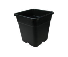 Ban legaal Ongeldig Plastic pot - Vierkant (0.25ltr ~ 30ltr) | EUGardencenter - EUGardencenter