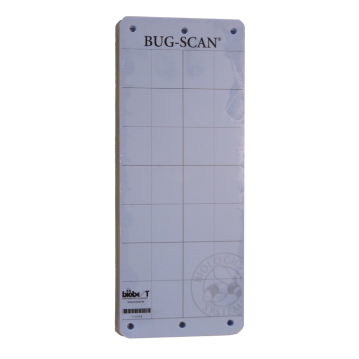 Brimex BioBest Brimex Bug-Scan Insecten Plakkaart - 10stks