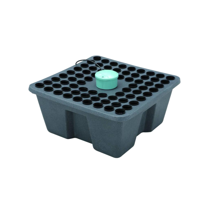 Terra Aquatica (T.A) ~ GHE The Rainforest72 12 V cutting system